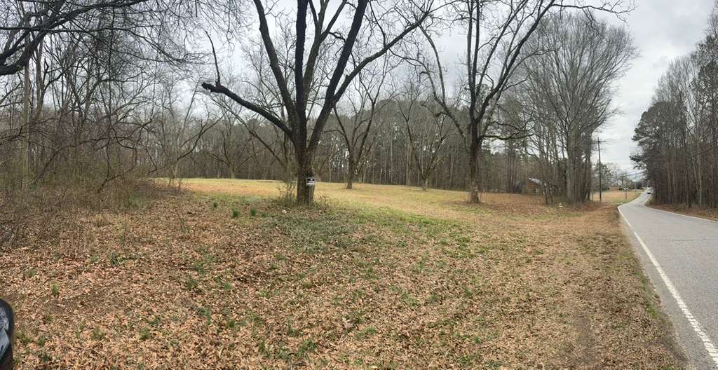 Future church land - Woods