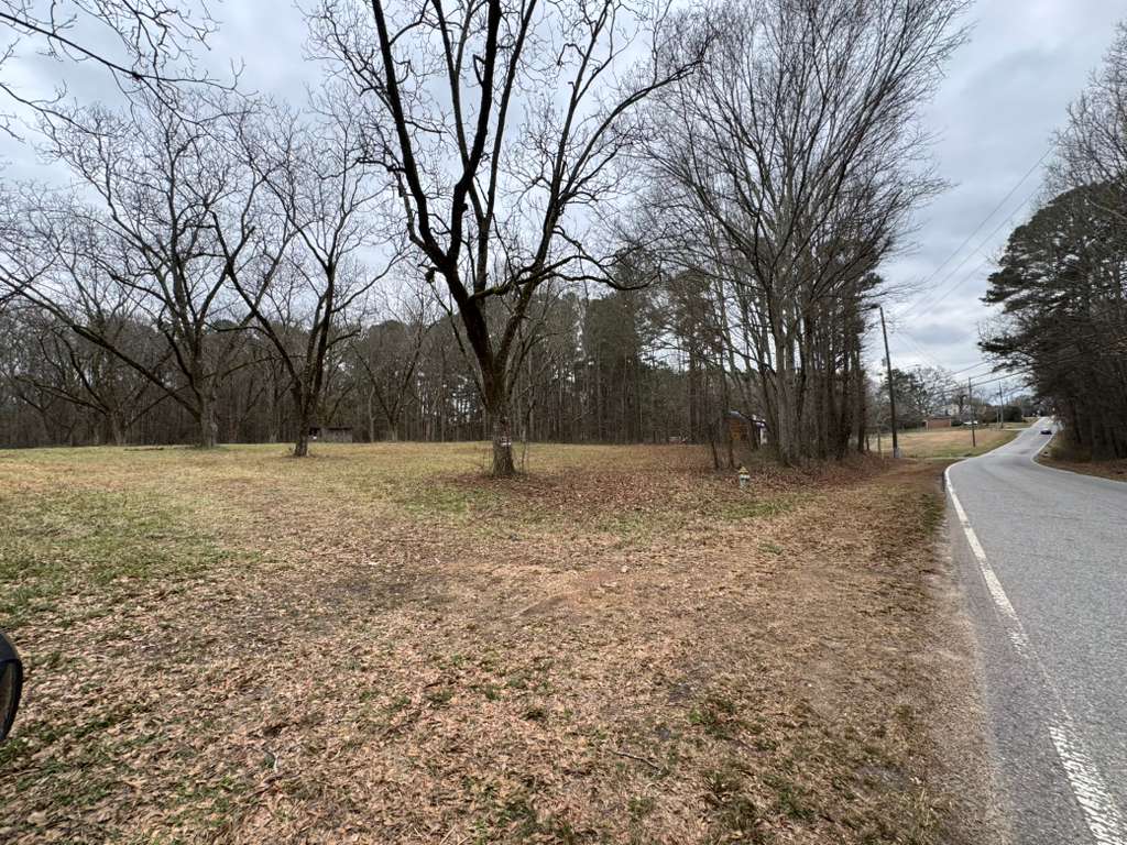 Future church land - Nature